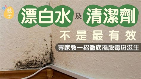 牆壁潮濕發霉|潮濕｜牆壁反覆發霉？霉斑若未侵入深處 靠「這招」 